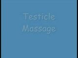 Demo of testicles massage snapshot 1