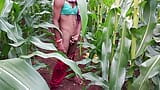 College Desi eunuch has a lot of fun in the corn cob field at dusk snapshot 8