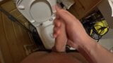 Jerking off in the toilet snapshot 3