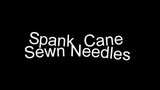 Spank Cane Sewn Needles snapshot 1