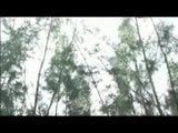 Cute asian boy alone in the forest snapshot 1