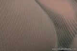 My Favorie Fishnets snapshot 16