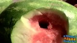Heterosexuelle Typen ficken Wassermelonen, bis sie kommen snapshot 7