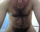 BEAR WANK PAJA DE OSO snapshot 4