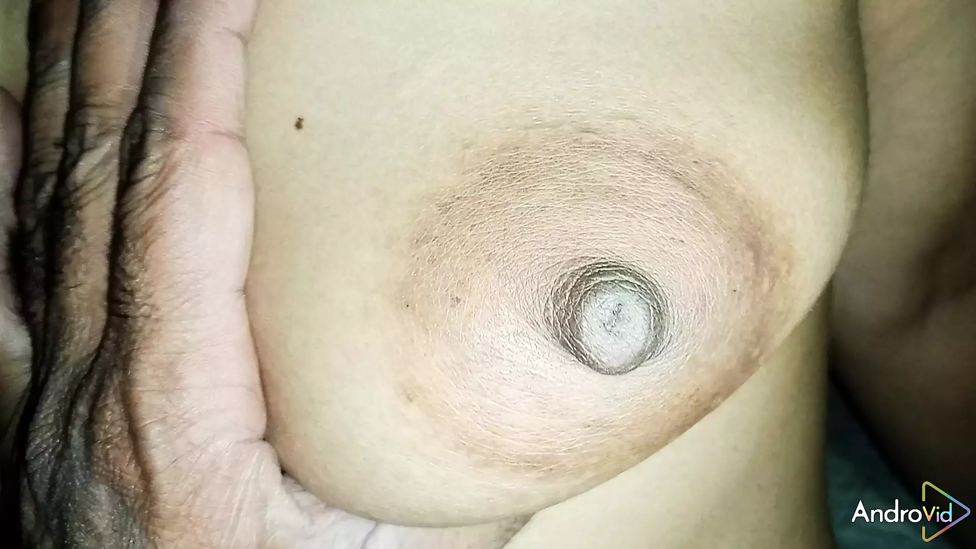 Punjabi couple sex