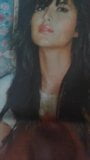 Katrina Kaif cum tribute!!!! snapshot 3