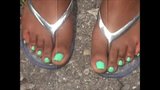 Shawnda Lake Green Toes snapshot 2