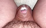 Micro penis cum over flow snapshot 2