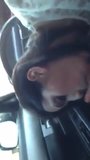 SEXO ORAL EN EL CARRO snapshot 5