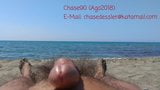 Passeggiando nudo al mare snapshot 1