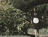 Y tá tham lam (1975) snapshot 2