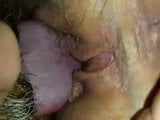 Husband with beard eating wifes sweet cunt snapshot 4