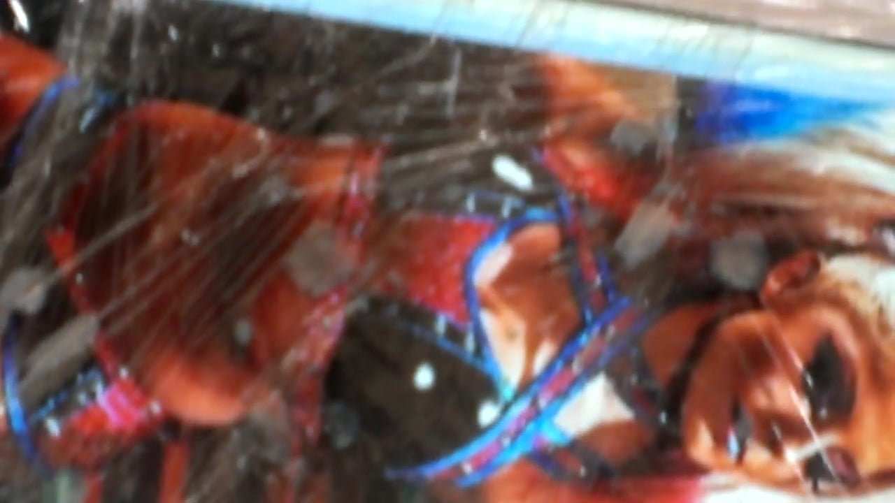 Nova - wwe alexa bliss cum tribute #2