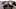 हॉर्नी मिल्फ साथ एक विशाल आस मैस्टर्बेटिंग उसकी पुसी लेने के बाद बड़ी बॉल्स डीप क्रीमपाइ! - दूधिया मारी