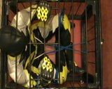 Yellow and black - the bikerslave is in the cage snapshot 6