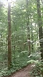 Wank in Forrest snapshot 8