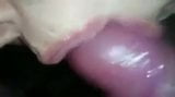 lick the dick with tongue snapshot 6