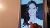 Sarah Wayne Callies Cum Tribute snapshot 1