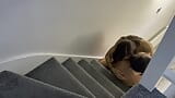 Sex positions on the stairs snapshot 1