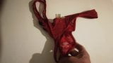 Cum in my step moms dirty panties snapshot 2