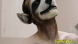 Furry twink raccoon sucked and jerked off hard snapshot 6