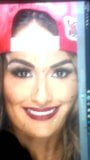 Nova - wwe nikki bella cum homenaje #2 snapshot 2