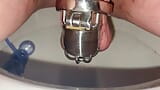 Sissy Chastity Pee Toilet snapshot 5