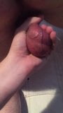 I squeeze the testicles (42) from the slave snapshot 2