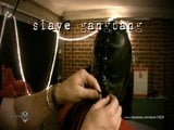 Slave Gangbang snapshot 1