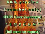 Vista previa de bbbb: selen boxcum snapshot 2