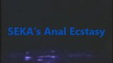 Seka trong seka&#39;s anal ecstasy-2003 snapshot 1