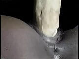 Nena negra caliente se desnuda y luego chupa una gran polla negra snapshot 12