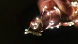 Weihnachtsbaum mit Lichterkette spritzt im Dunkeln ab snapshot 9