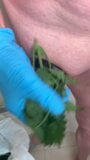 Nettle sting teasing snapshot 2