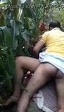 Indian young girl fucking her boyfriend in the jungle snapshot 4