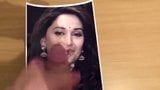 Madhuri dixit cum tribute snapshot 3