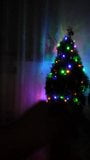 My christmas tree snapshot 4