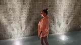 Лисиця Моніка гуляє біля водяної стіни snapshot 1