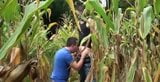 outdoor gays hard cock sucking snapshot 5