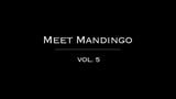 Maak kennis met Mandingo 5 snapshot 1
