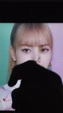 BLACKPINK Lisa Cum Tribute 2 snapshot 8