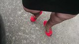 Outside in nylons and high heels snapshot 4