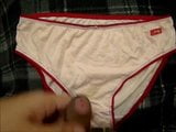 Finders, Keepers - panty  snapshot 2