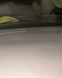 Solo female masturbation on hood of car snapshot 1