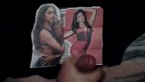 Cumming On Randi Deepika Padukone snapshot 10