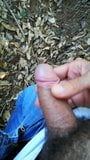 Cum in nature snapshot 2