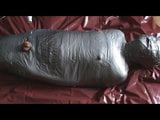 Slave as silver stepmummy snapshot 2