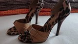 Fuck and cum her sexy leopard high heels snapshot 1