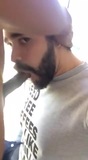 A great bearded sucker snapshot 4