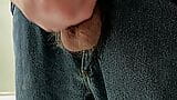 Semi Hard Cock Hanging out of Jeans snapshot 12